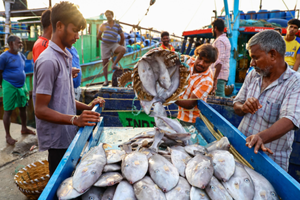 (नई दिल्ली)भारत के समुद्री उत्पादों का निर्यात अप्रैल से अक्टूबर में 14 प्रतिशत बढ़ा, अमेरिका में झींगे के निर्यात को मिली मजबूती