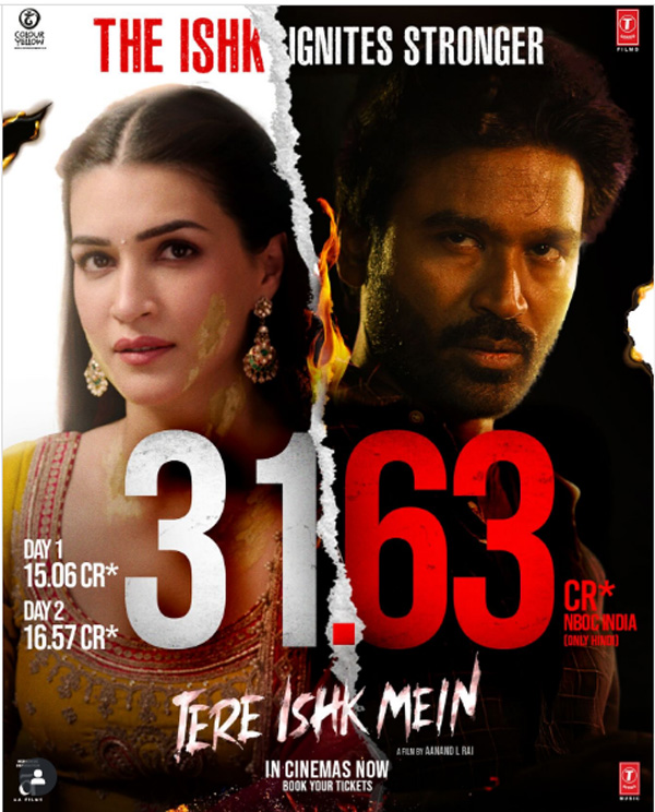 बॉक्स ऑफिस पर चला तेरे इश्क में का जादू, दूसरे दिन हुई दमदार कमाई, 120 बहादुर 9 दिन बाद भी फेल