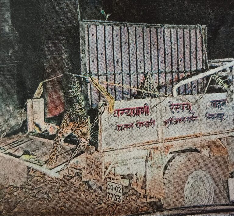 जंगली जानवरों के अवैध शिकार के लिए शिकारियों का बैखौफ बढ़ता जाल