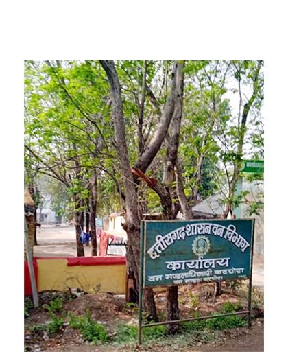 (कोरबा) जंगल की अग्नि सुरक्षा हर हालत में सुनिश्चित हो – डीएफओ निशांत