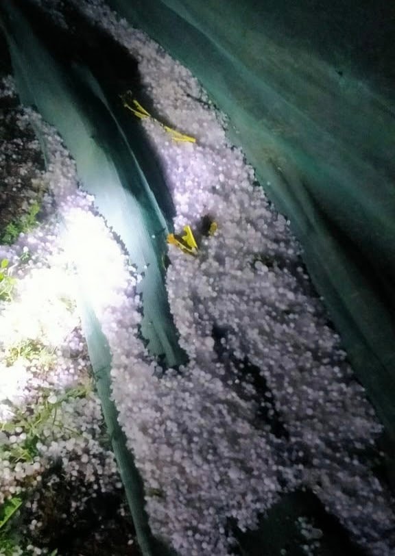 (कोरबा) गर्मी के शुरुआती दौर में मौसम ने बदली करवट, बारिश के साथ ओले भी गिरे