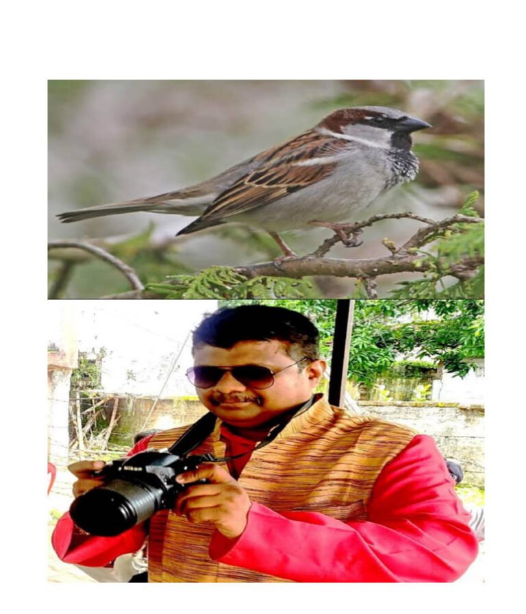 (भिलाई) विश्व गौरैया दिवस पर पक्षियों की घटती संख्या के प्रति किया जागरूक, बांटे सकोरे पंछी मित्र समाजसेवी प्रशांत कुमार क्षीरसागर