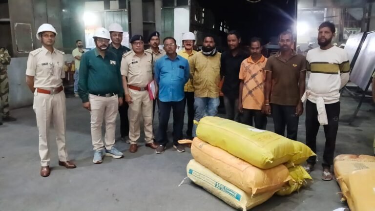 दुर्ग में ड्रग्स पर बड़ा वार, 6 क्विंटल से ज्यादा गांजा समेत भारी मात्रा में नशीले पदार्थ नष्ट