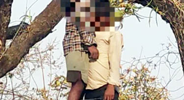 (कोरबा) जंगल में दो युवकों का शव एक ही पेड़ पर लटके मिला, इलाके में मची खलबली