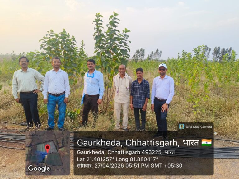 (रायपुर) रेशम खेती से आय बढ़ाने का अवसर, किसानों को मिलेगा लाखों का अनुदान