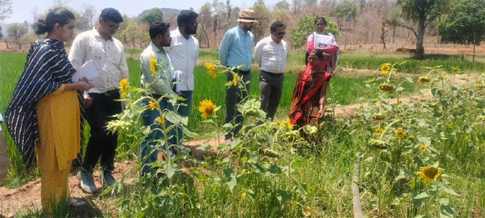 (रायपुर) दीदी के बखरी से बदल रही तस्वीर : कांकेर में महिला किसानों की आय में क्रान्तिकारी