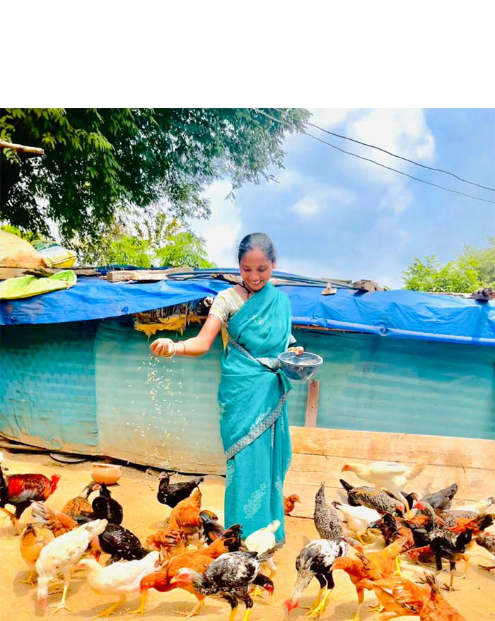 (रायपुर) एकीकृत कृषि और आजीविका के लिए दीदी के बखरी से आ रही नई क्रांति