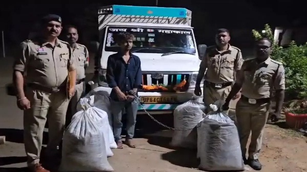 (गरियाबंद) सब्जी के कैरेट में गांजा तस्करी करते पिकअप चालक गिरफ्तार, 65 लाख का गांजा जब्त
