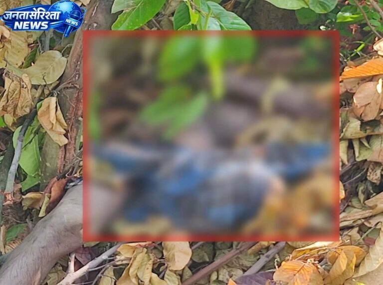 (रायगढ़) जंगल मे मिली ग्रामीण की लाश, हाथी के हमले की आशंका