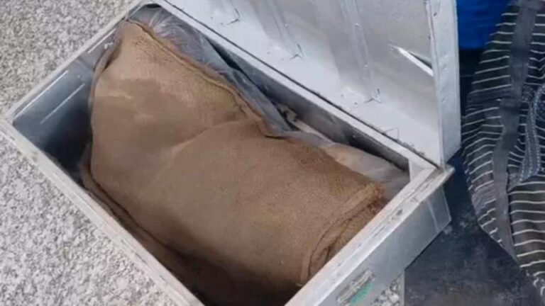 युवती को 6 टुकड़ों में काटा, 5 ट्रेन में मिले, सिर गायब; बक्से में धड़ और हाथ-पैर पॉलिथीन में पैक