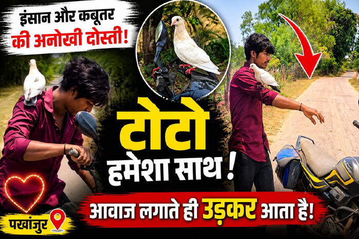 (पखांजूर) युवक और पालतू कबूतर की दोस्ती बनी चर्चा का विषय, आवाज लगाते ही पहुंच जाता है ‘टोटो’