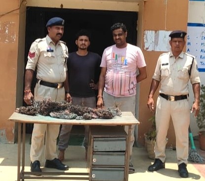 सोलर प्लांट में सेंधमारी कर कॉपर वायर उड़ाने वाला शातिर चोर, कबाड़ी समेत गिरफ्तार