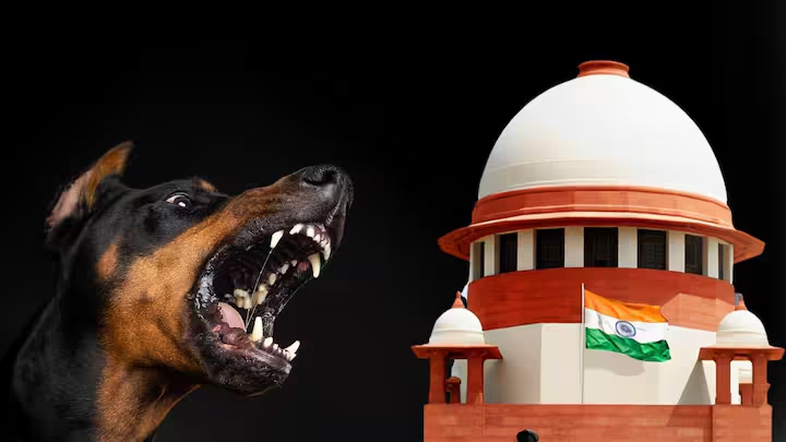 सुप्रीम कोर्ट ने आवारा कुत्तों के मुद्दे पर राज्य सरकारों को लगाई फटकार?