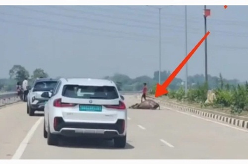 (कोरबा) भारतमाला मार्ग पर असामाजिक तत्वों की दबंगई, मृत मवेशियों के शव रखकर वाहन चालकों से अवैध वसूली