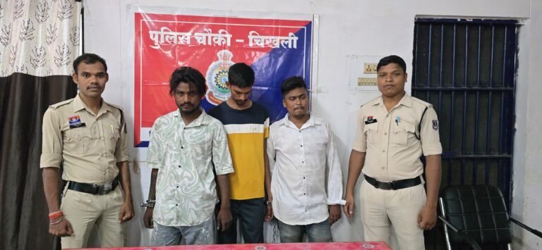 (राजनांदगांव) चिखली पुलिस की सख्त कार्रवाई: अशांति फैलाने वाले तीन बदमाशों पर बीएनएसएस के तहत कार्यवाही