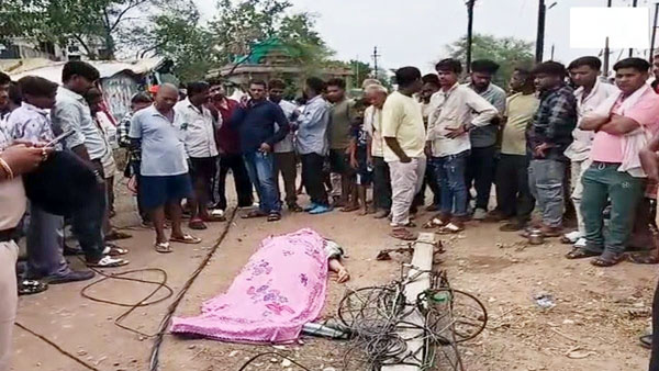 (बलौदाबाजार) पेड़ कटाई के दौरान गिरा बिजली का खंबा, चपेट में आकर आंगनबाड़ी कार्यकर्ता की दर्दनाक मौत