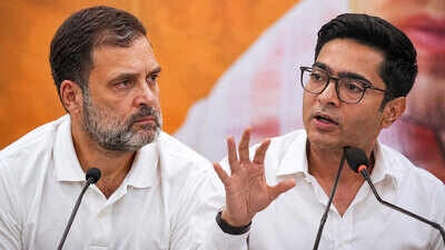 विपक्षी एकता को धार देने की कवायद, राहुल गांधी और अभिषेक बनर्जी करेंगे रणनीति पर चर्चा