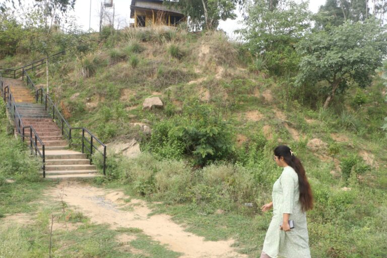 (सूरजपुर) कलेक्टर रेना जमील ने जिले के पर्यटन स्थलों का किया निरीक्षण, सुविधाओं के विस्तार एवं सौंदर्यीकरण के दिए निर्देश