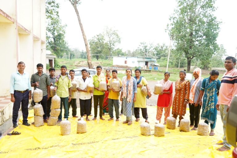 (सुकमा) कृषि विज्ञान केंद्र सुकमा में मशरूम उत्पादन प्रशिक्षण संपन्न