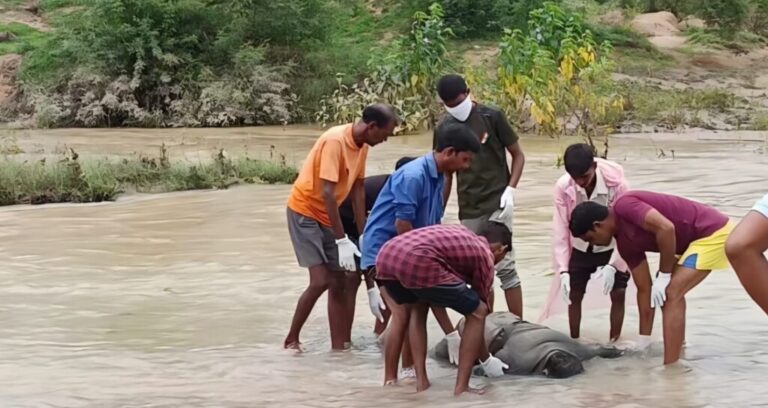 (कोरबा) मछली पकडऩे गए 52 वर्षीय ग्रामीण की 48 घण्टे बाद एसडीआरएफ टीम ने बरामद किया शव