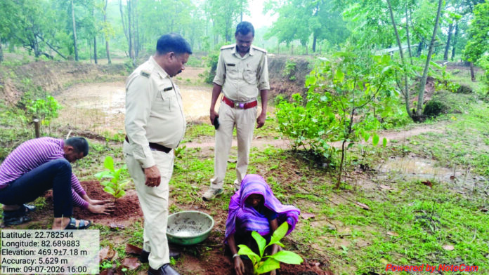 (कोरबा) मुख्यमंत्री वृक्ष संपदा योजना के तहत किसानों की जमीन पर लग रहे पेड़