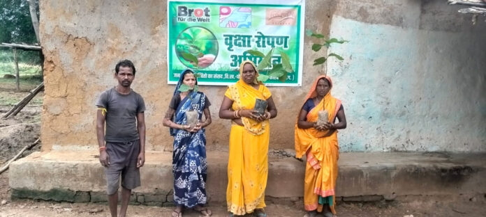 (कोरबा) जलके के अमझर गांव में फलदार एवं छायादार पौधों का रोपण