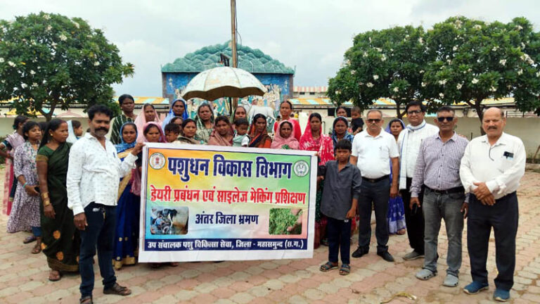 (धमतरी) वैज्ञानिक पशुपालन से आत्मनिर्भरता की ओर बढ़ीं महिला पशुपालक