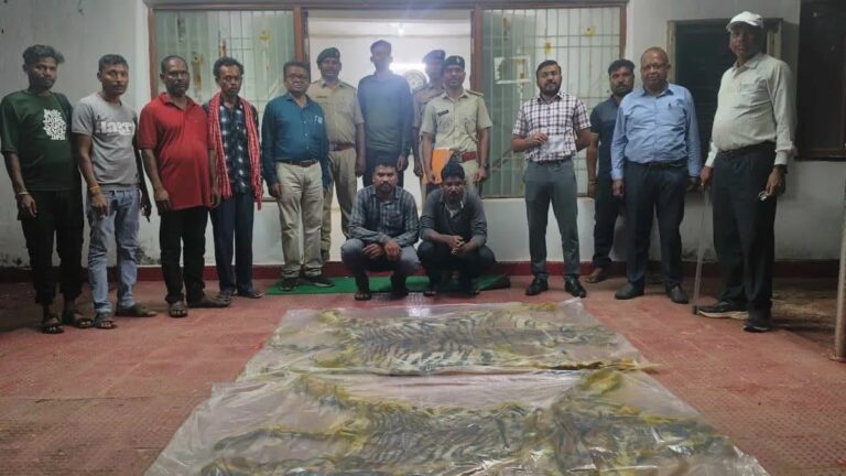 (रायपुर) बाघ खाल की तस्करी में शामिल मिले आत्मसमर्पित नक्सली