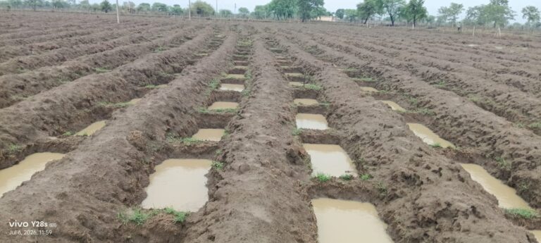 (दुर्ग) बारिश के साथ दिखने लगा मोर गांव-मोर पानी अभियान का असर