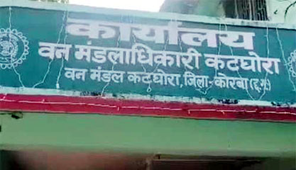 (कोरबा) रतनजोत के पौधों को काटकर नये वृक्षारोपण किये जाने का ग्रामीणों ने किया विरोध