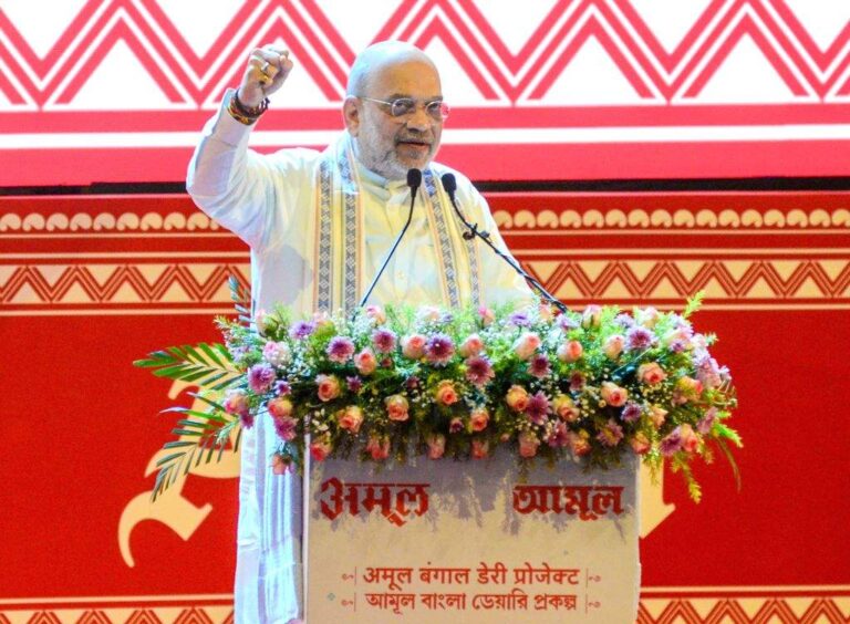 भाषा किसी भी देश की संस्कृति व विरासत की पहचान होती: अमित शाह
