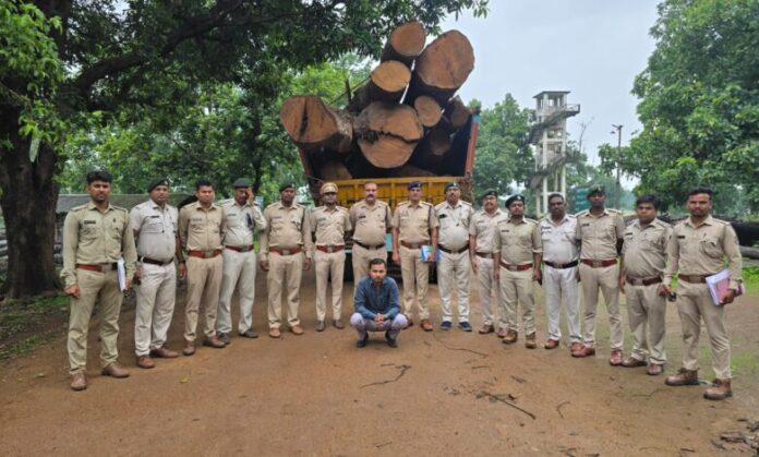 (कोरबा) इमारती लकड़ी के अवैध परिवहन पर पुलिस ने की बड़ी कार्रवाही: 9 लाख की इमारती लकड़ी और क्रेन जब्त, एक आरोपी गिरफ्तार