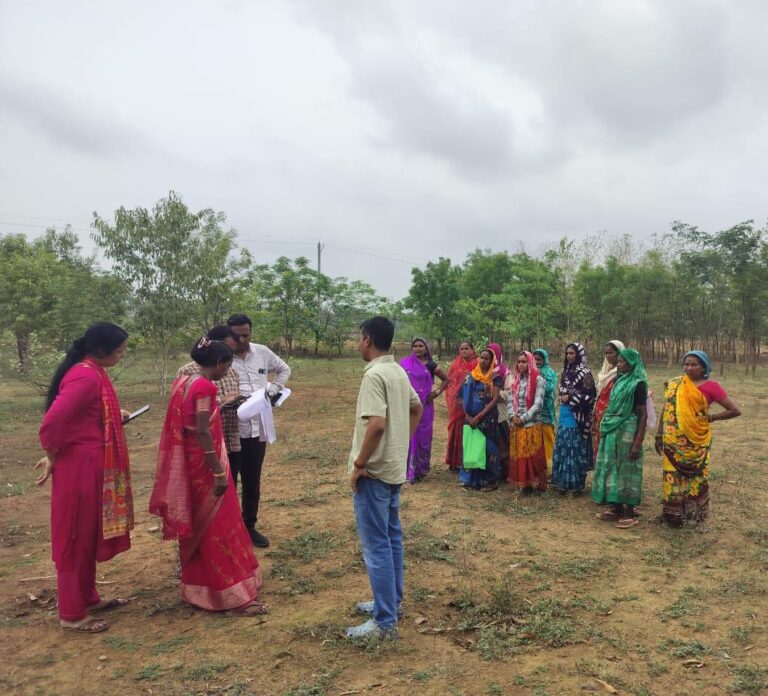 (रायपुर) जिला पंचायत सीईओ ने किया वीबी जीरामजी के तहत किए गए पौधरोपण का निरीक्षण
