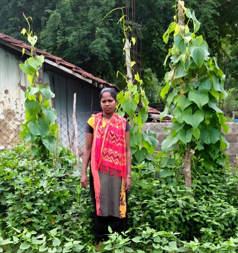 (सुकमा)किचन गार्डन से आत्मनिर्भर बन रहीं बिहान की दीदियां