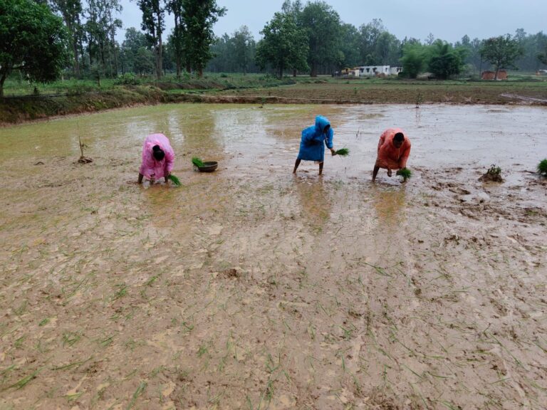 (कोण्डागांव)खरीफ 2026: अल्प एवं अनियमित वर्षा से निपटने कृषि विभाग ने जारी की आकस्मिक कार्ययोजना