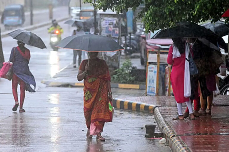 (रायपुर) रायपुर समेत छत्तीसगढ़ में झमाझम बारिश, फिर सक्रिय हुआ मानसून; अगले 48 घंटे भारी वर्षा का अलर्ट