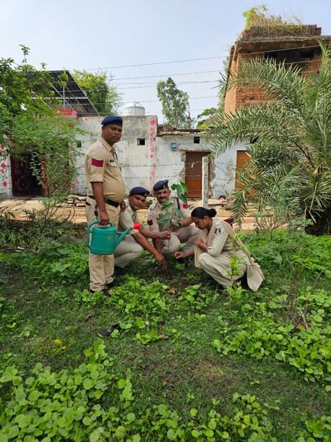 (बलौदाबाजार) सरदार पटेल की 150वीं जयंती पर पलारी थाना परिसर में ‘एकता वृक्षारोपणÓ अभियान, पुलिस ने दिया राष्ट्रीय एकता और पर्यावरण संरक्षण का संदेश