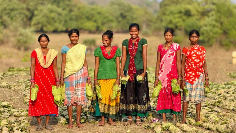 (सुकमा)तेंदूपत्ता संग्राहकों के चेहरे खिले, 40.72 करोड़ रुपए सीधे संग्राहकों के बैंक खातों में